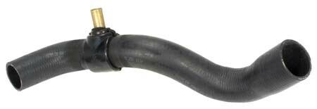 Radiator Outlet Hose W8003514