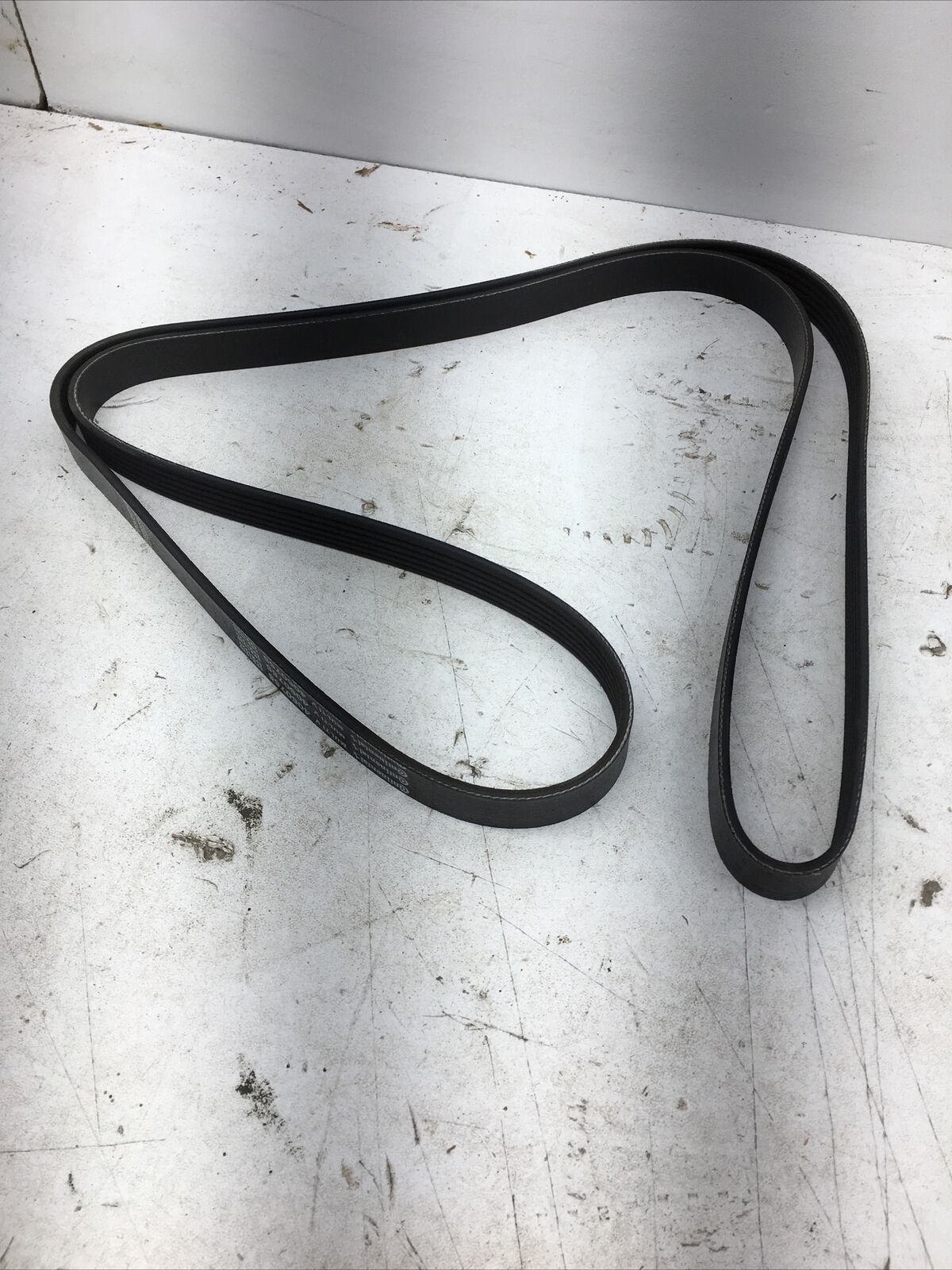 Continental Serpentine Belt 4060755 (New Old Stock)