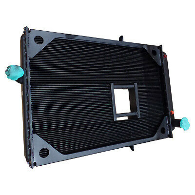 Radiator Assembly 1003521E